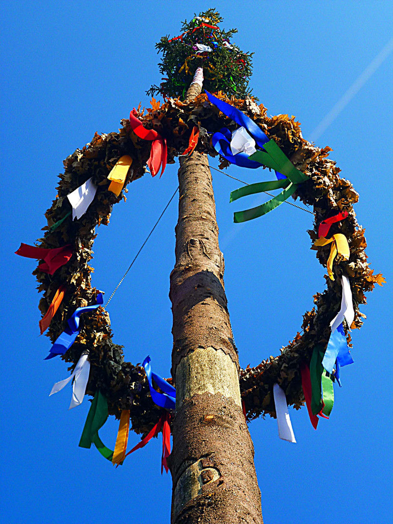 Erinnerung an den Maibaum