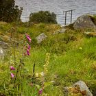 Erinnerung an den norwegischen Sommer