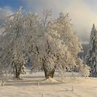 Erinnerung an den Schnee