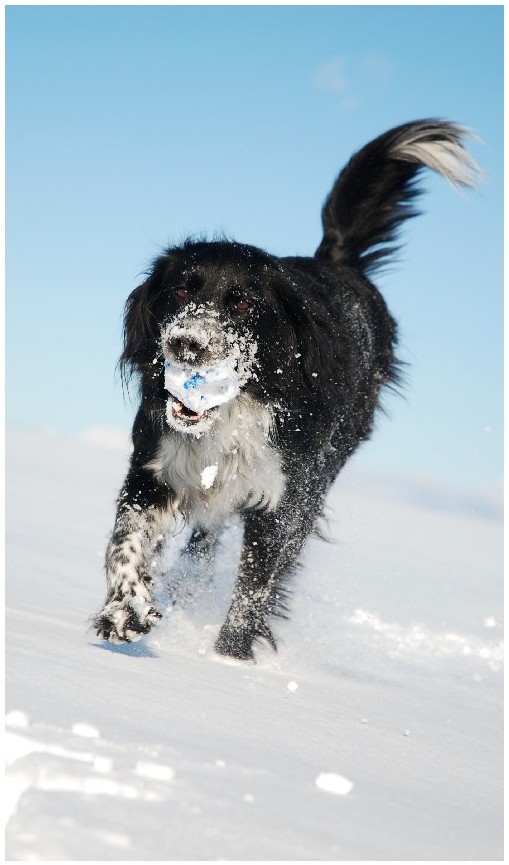 Erinnerung an den Schnee ... jetzt darf der Frühling kommen!