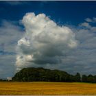 Erinnerung an den Sommer