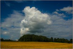 Erinnerung an den Sommer