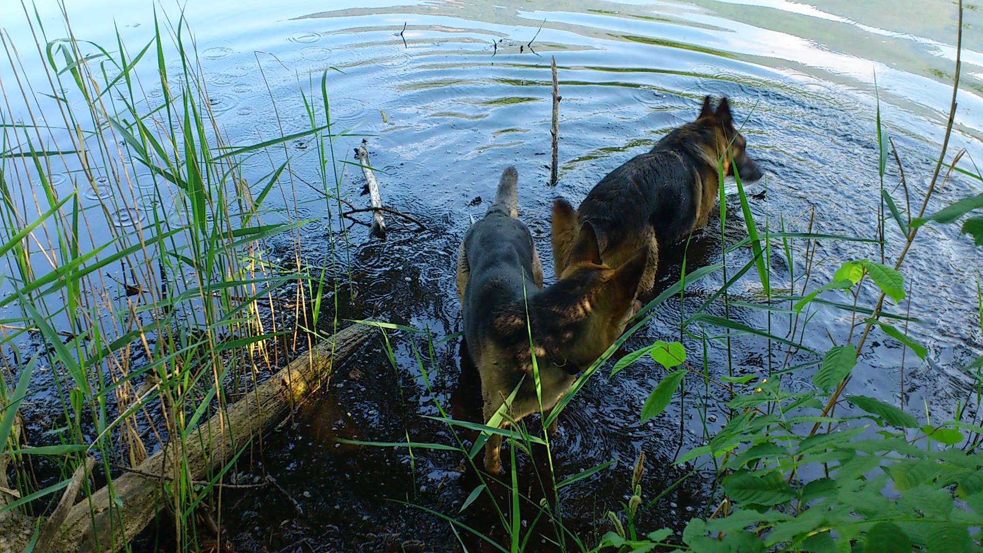 Erinnerung an den Sommer