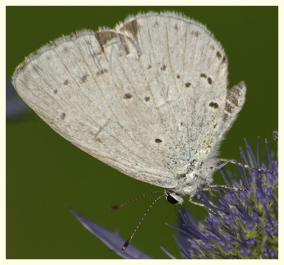 erinnerung an den sommer