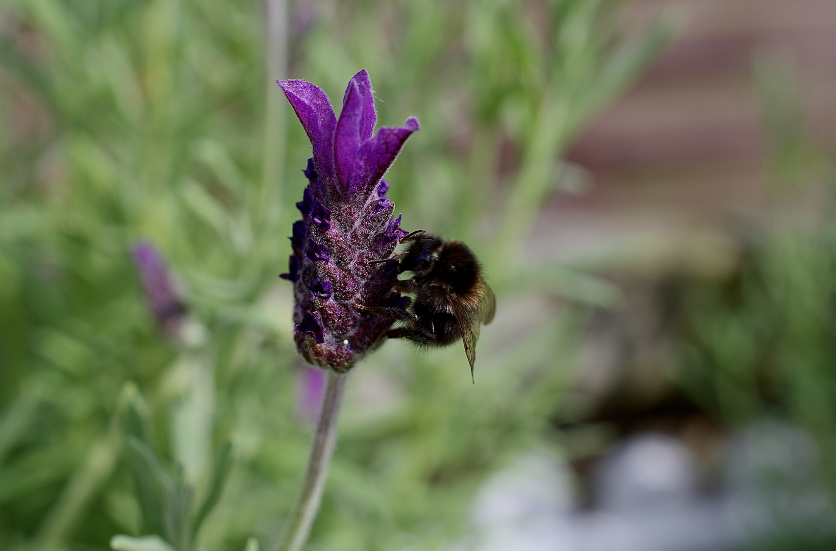 Erinnerung an den Sommer