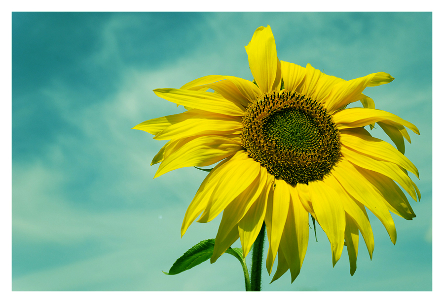 Erinnerung an den Sommer