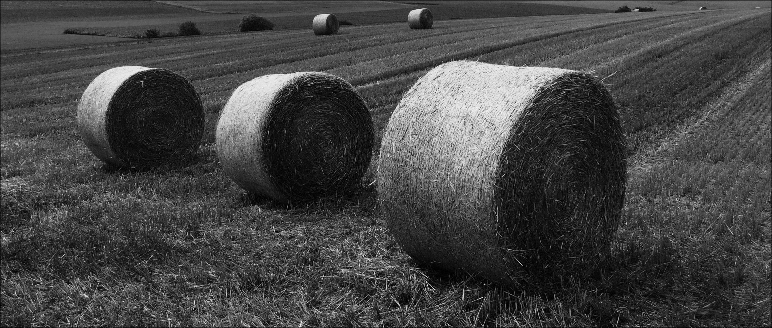 Erinnerung an den Sommer 2