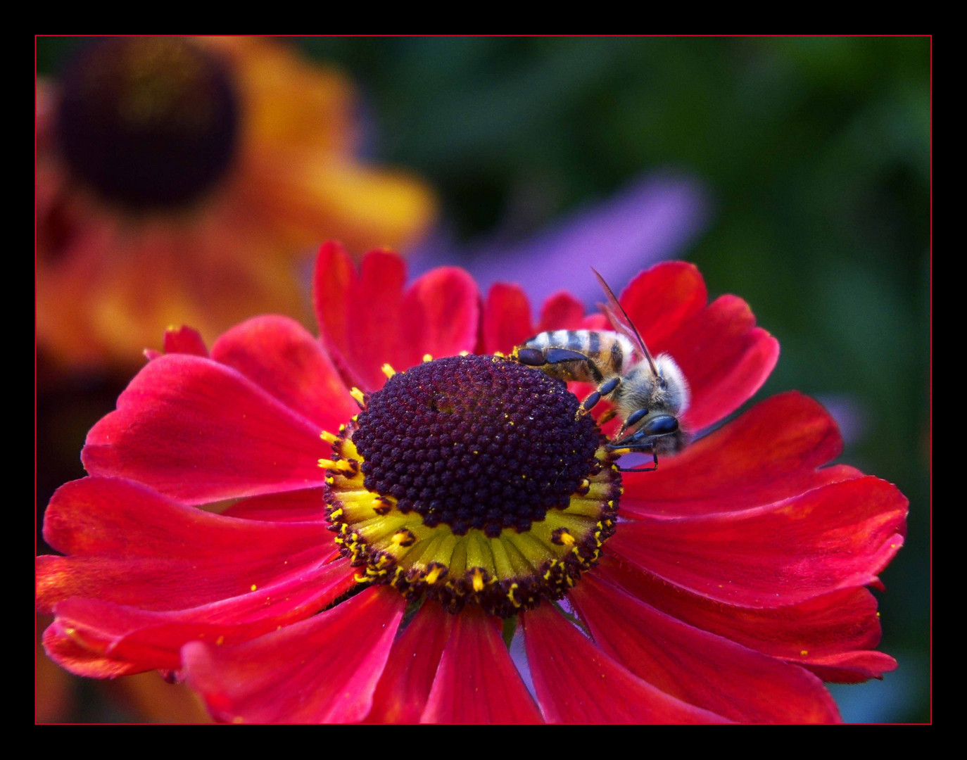 Erinnerung an den Sommer 2