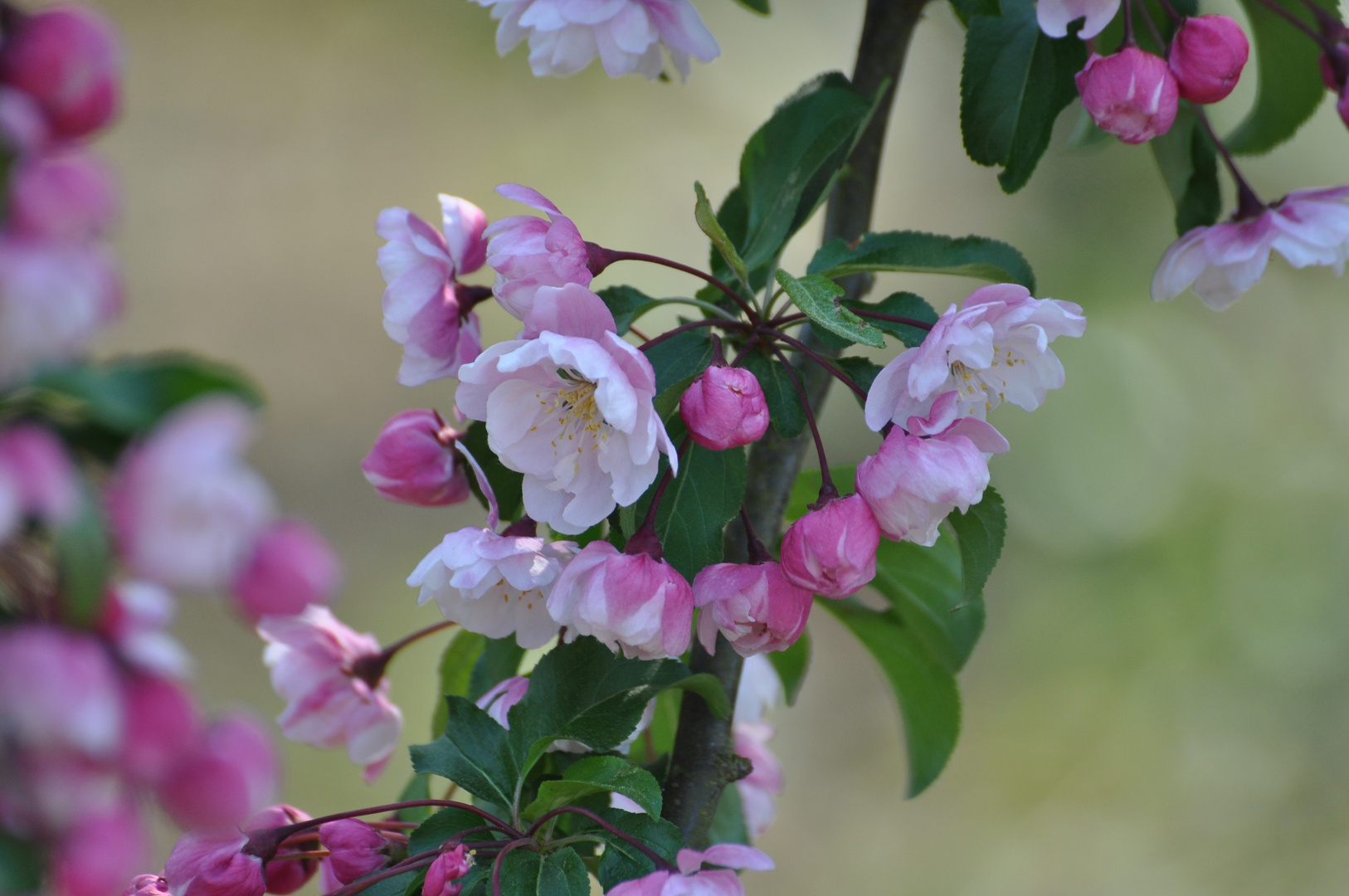 Erinnerung an den Sommer 2011