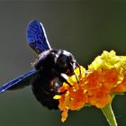 Erinnerung an den Sommer