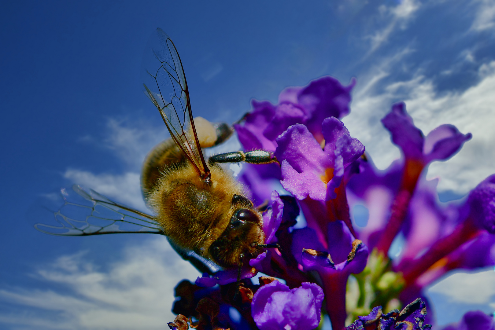 Erinnerung an den Sommer