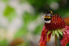 Erinnerung an den Sommer