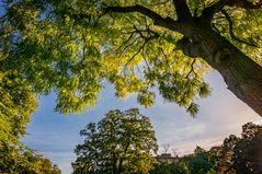 Erinnerung an den Sommer