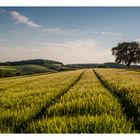 Erinnerung an den Sommer