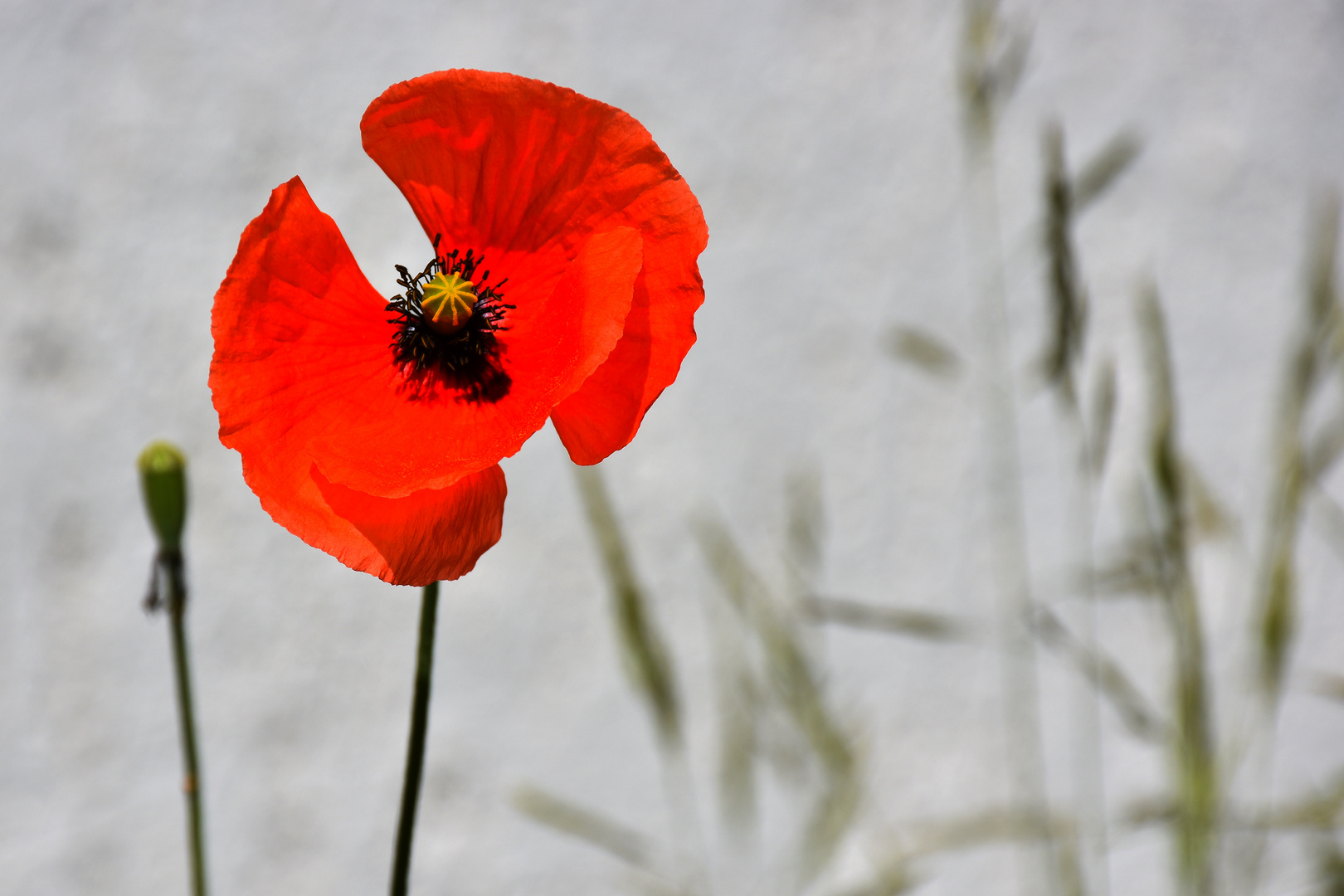 Erinnerung an den Sommer