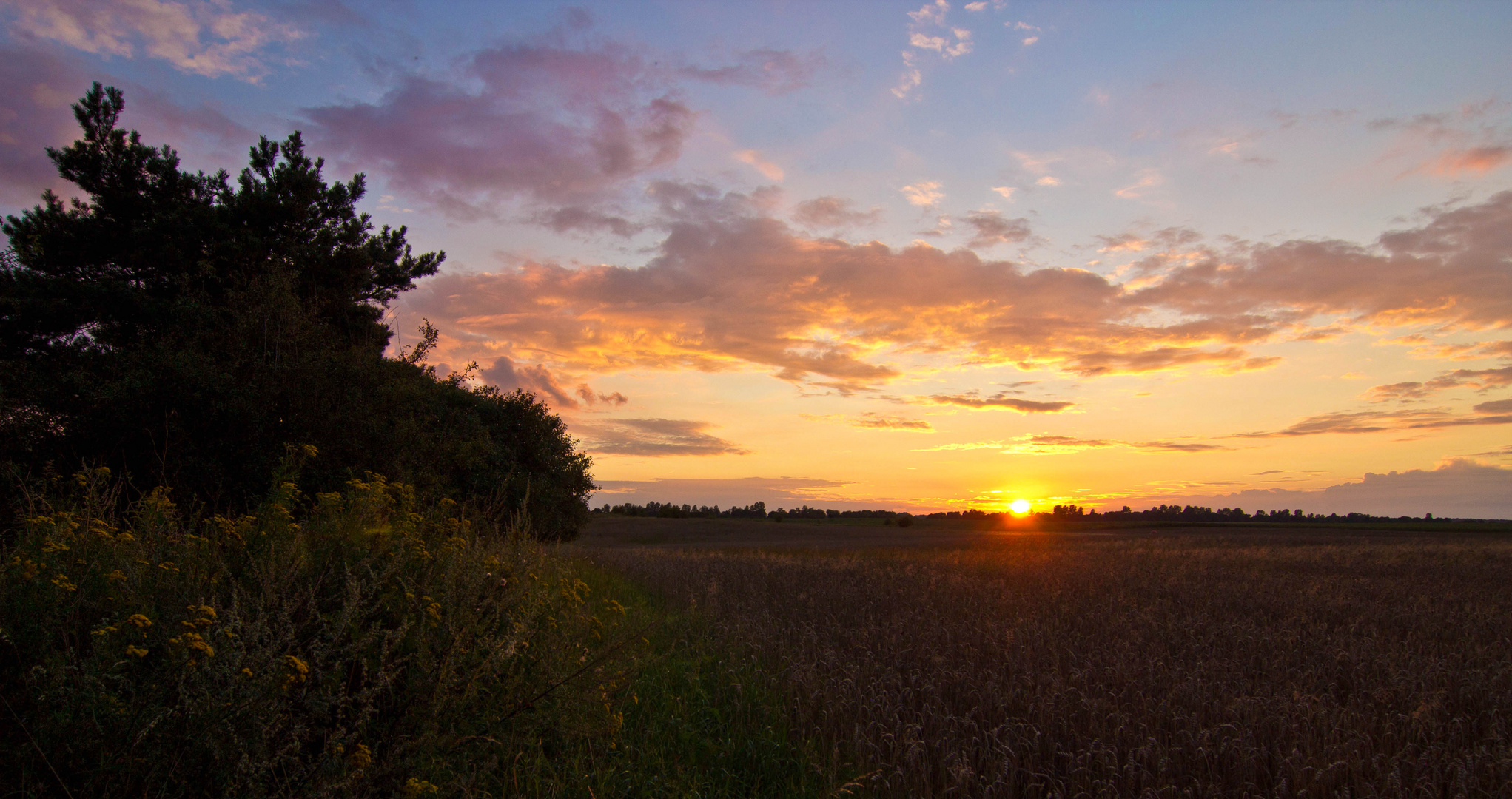 Erinnerung an den Sommer ...