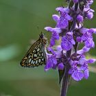 Erinnerung an den Sommer