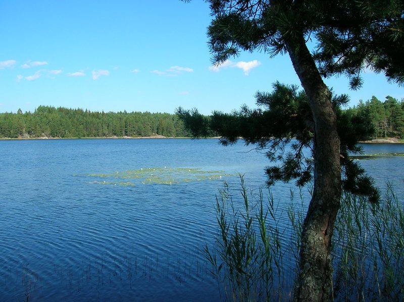 erinnerung an den sommer