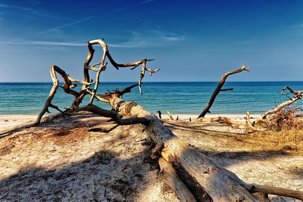 Erinnerung an den Sommer