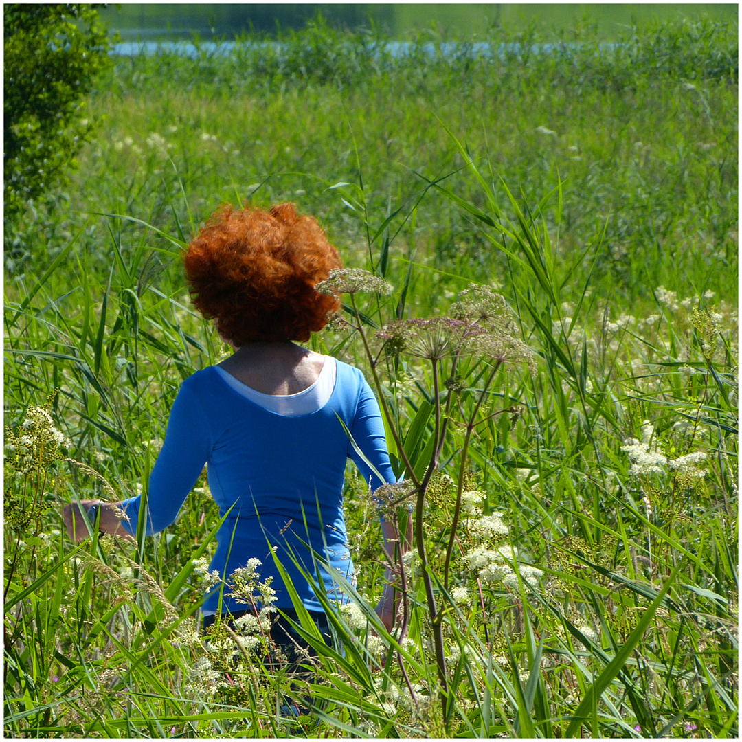 Erinnerung an den Sommer