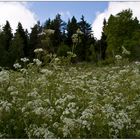 Erinnerung an den Sommer