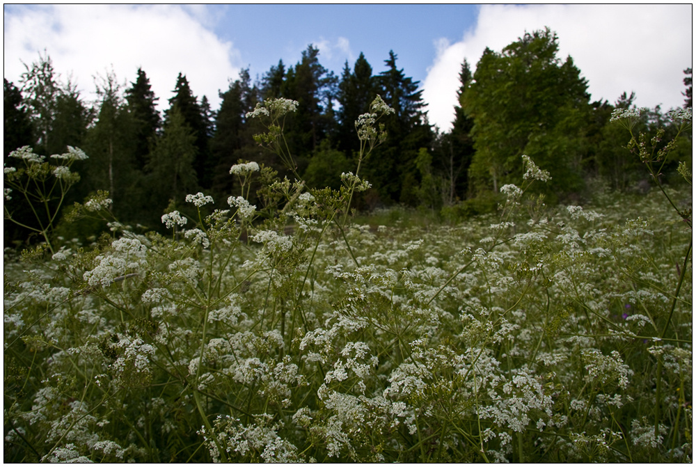 Erinnerung an den Sommer