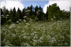 Erinnerung an den Sommer