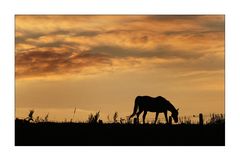 Erinnerung an den Sommer