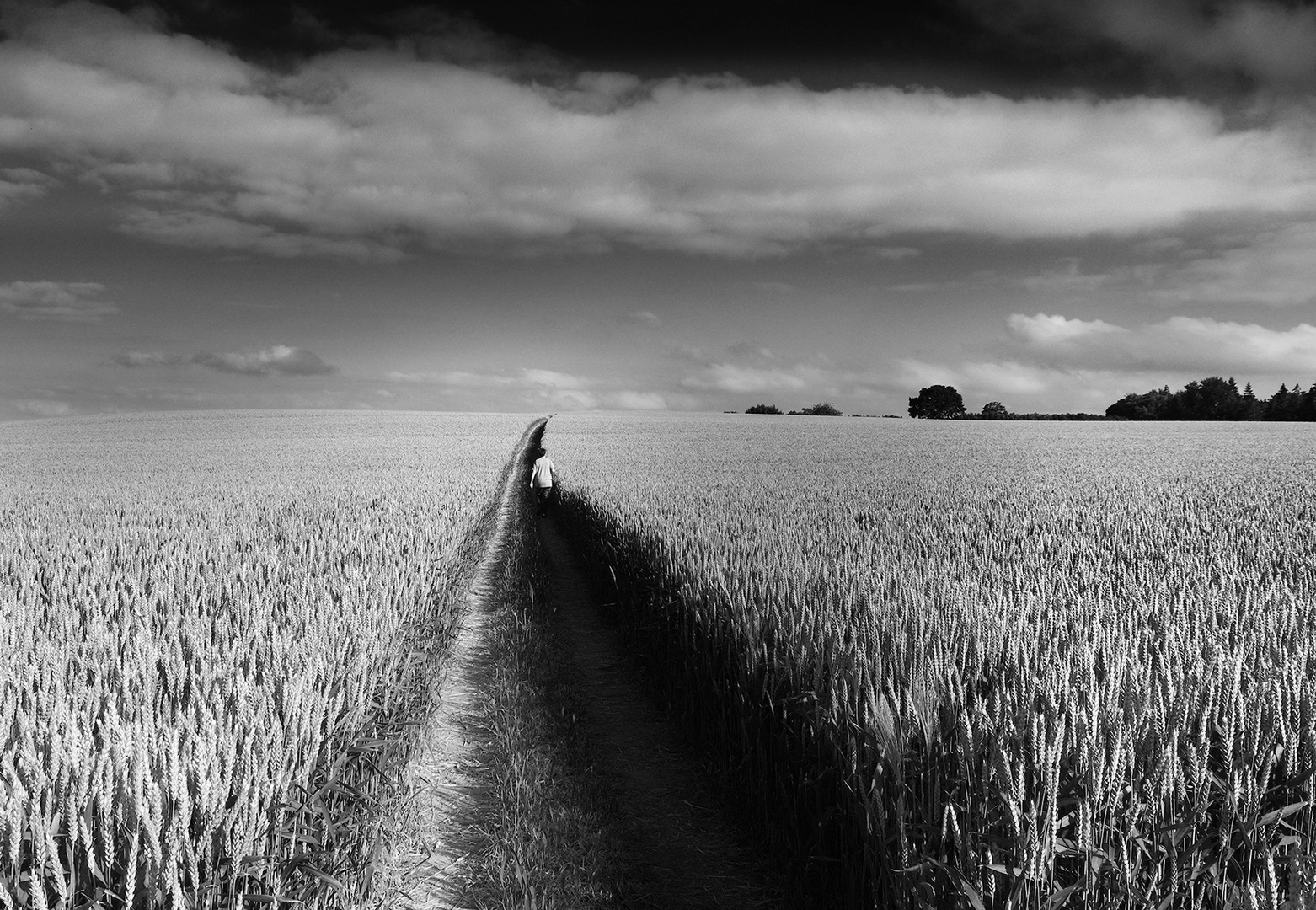 Erinnerung an den Sommer