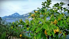 Erinnerung an den Sommer