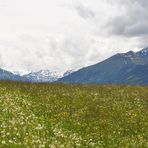 Erinnerung an den Sommer