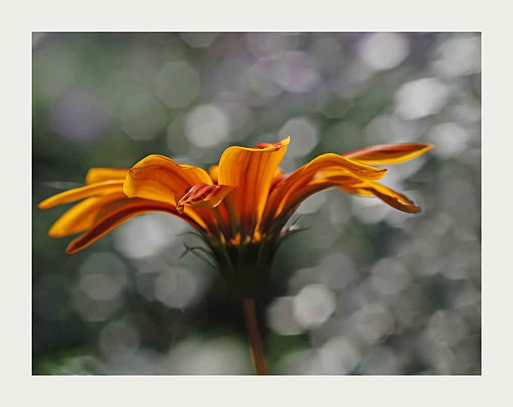 Erinnerung an den Sommer