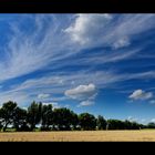 Erinnerung an den Sommer