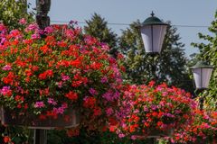 Erinnerung an den Sommer - Elburg/Niederlande