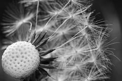 Erinnerung an den Sommer