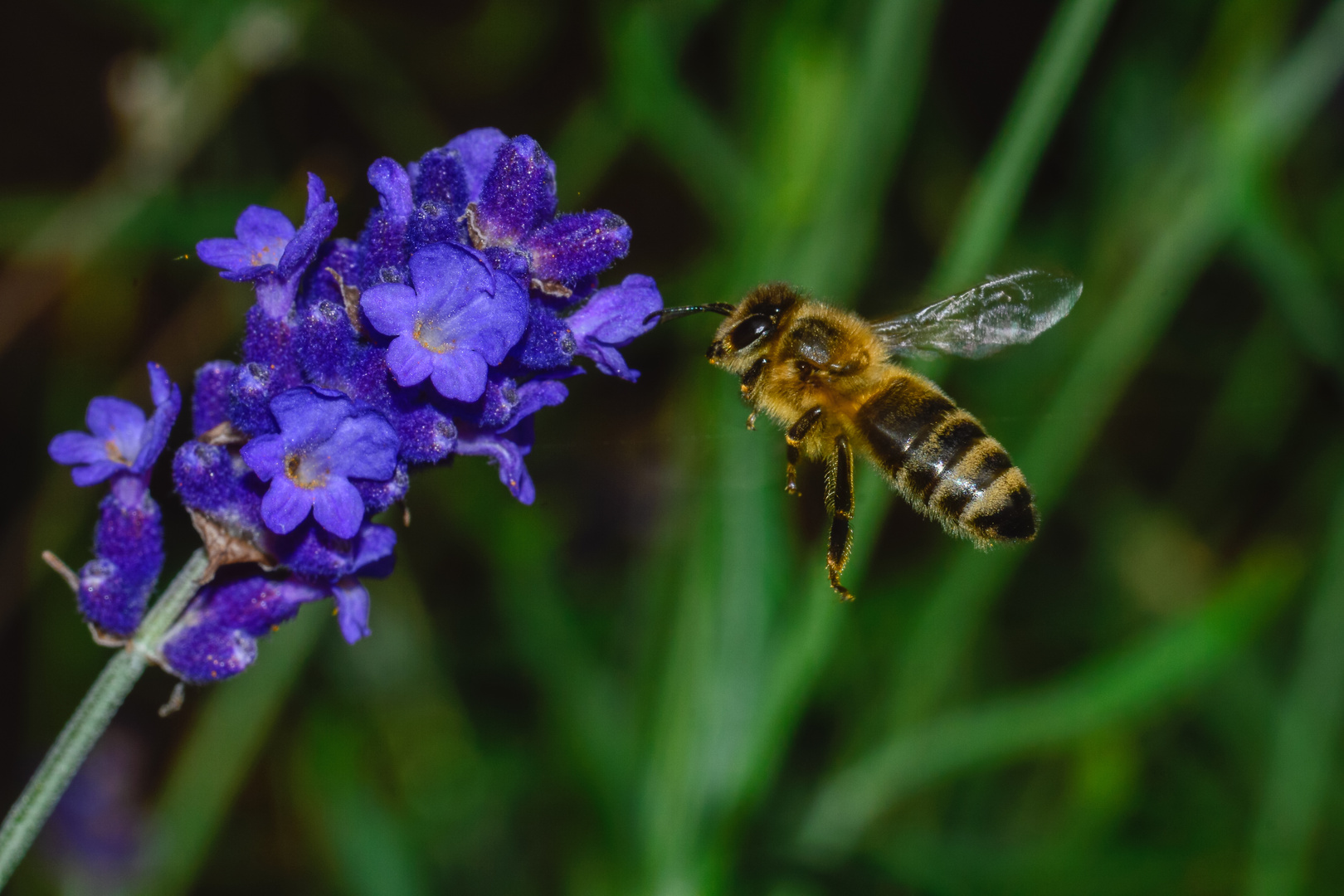 Erinnerung an den Sommer