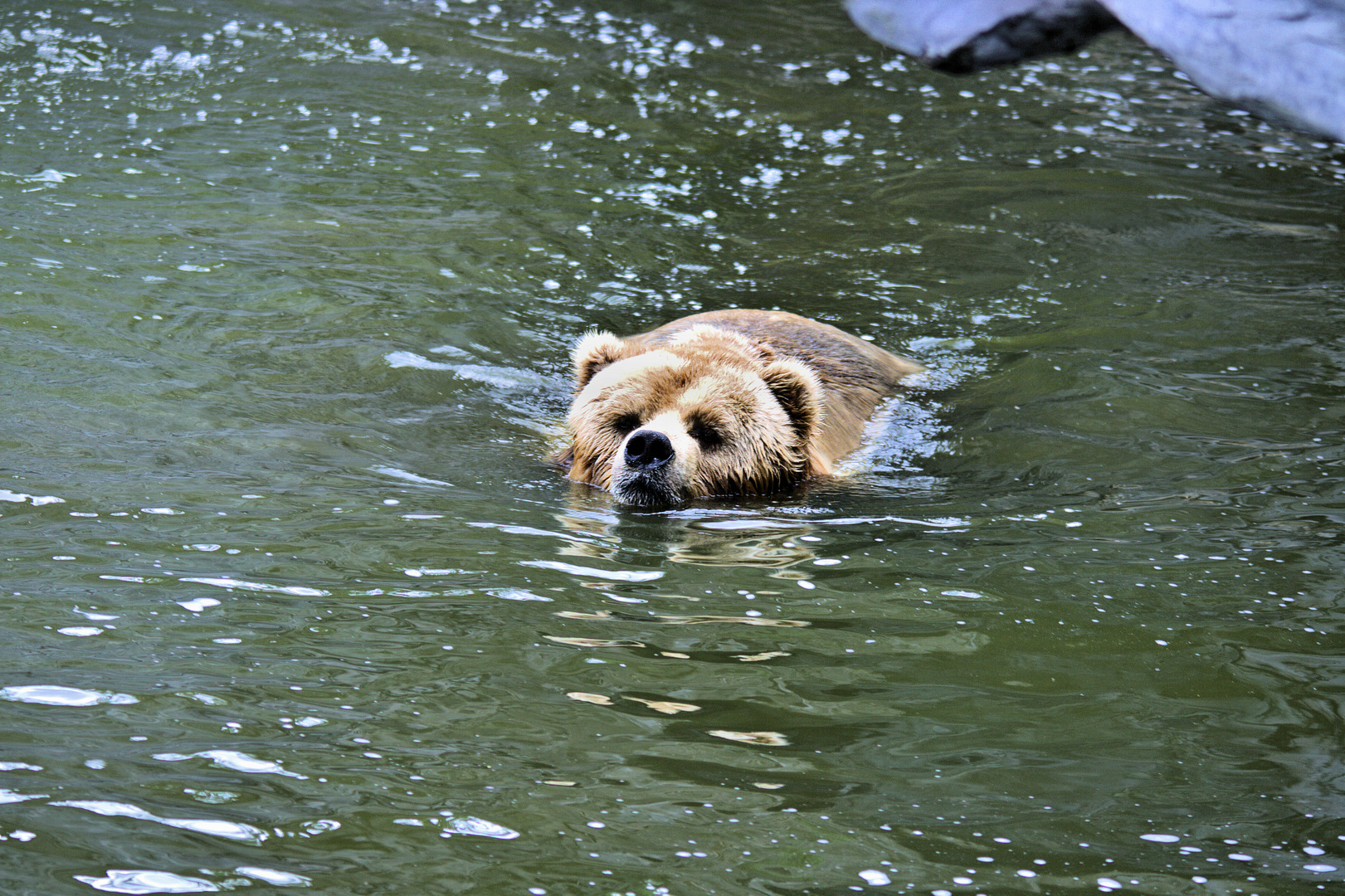 Erinnerung an den Sommer I