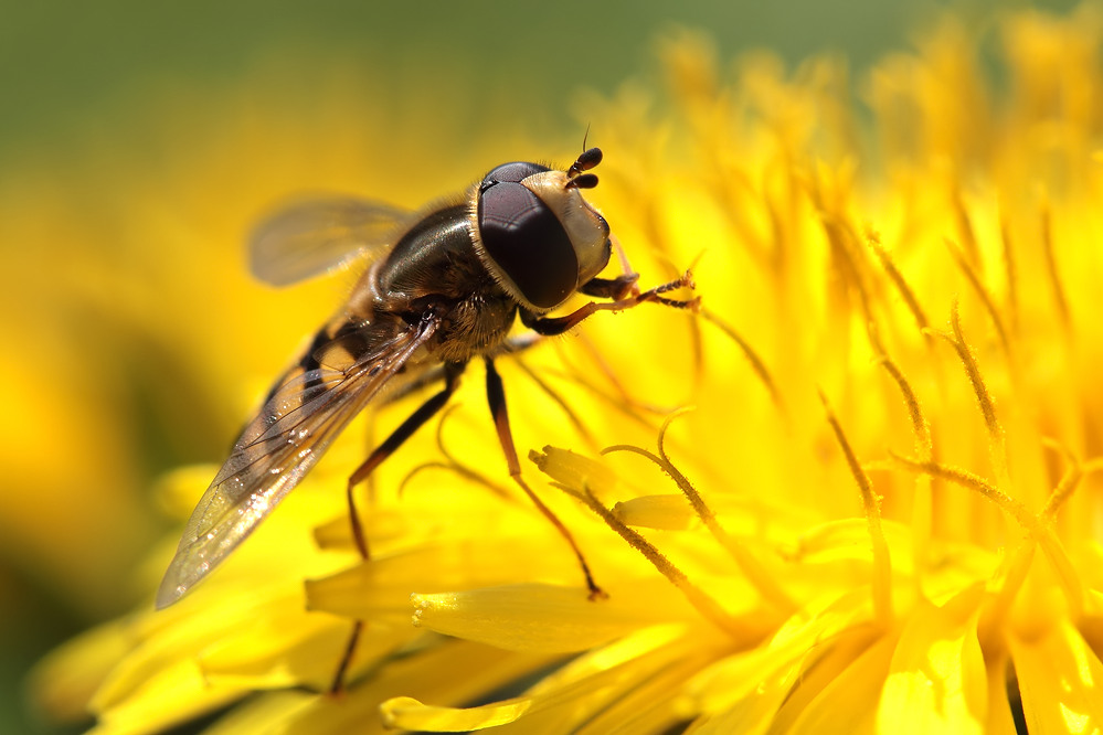 Erinnerung an den Sommer II