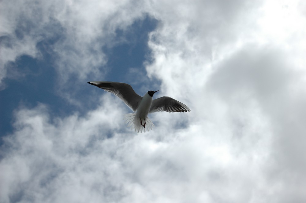 Erinnerung an den Sommerurlaub 2008