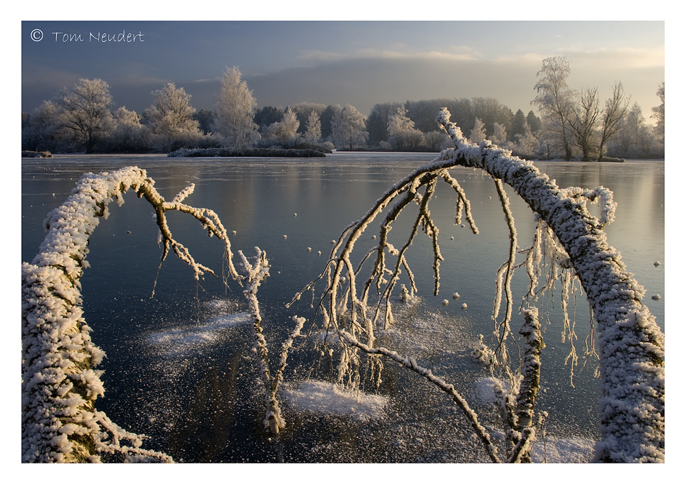 Erinnerung an den Winter