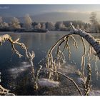 Erinnerung an den Winter