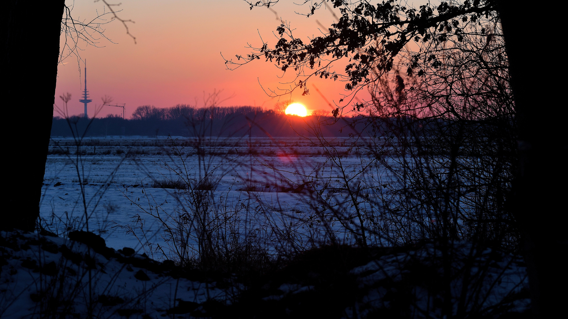 Erinnerung an den Winter !