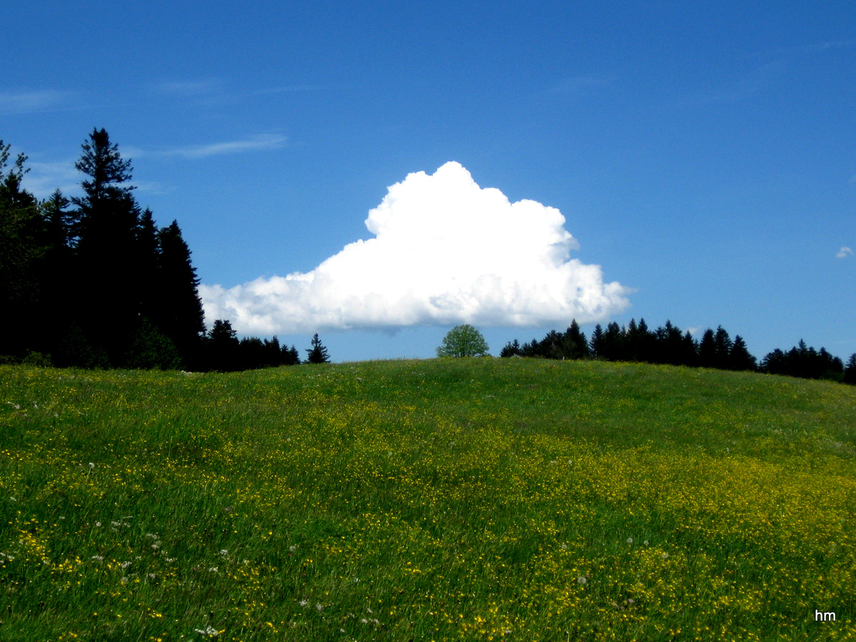 Erinnerung an die  Marie A. (Brecht)