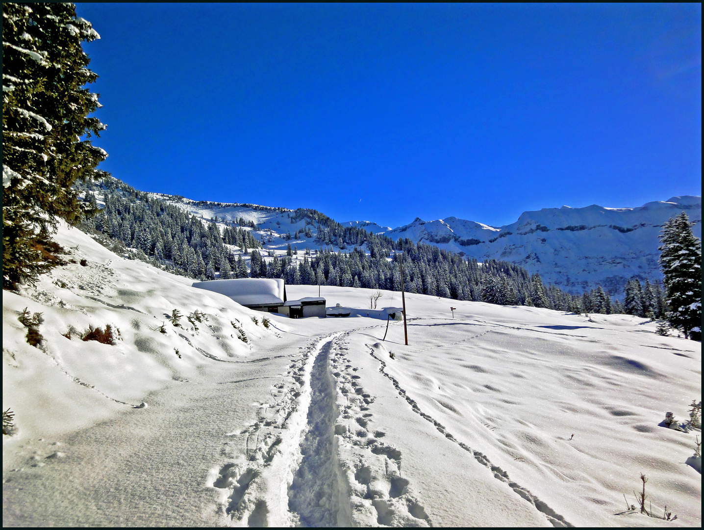 Erinnerung an die Tage im Schnee um Neujahr