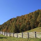 Erinnerung an eine Wanderung auf einer Alm