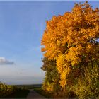 Erinnerung an einen goldenen Herbsttag