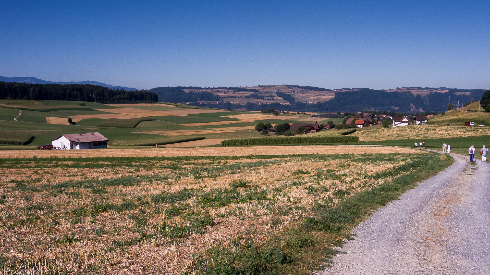 Erinnerung an einen heissen Sommer 2022