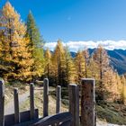 Erinnerung an einen leuchtenden Herbsttag