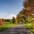 Erinnerung an einen schönen Herbsttag