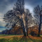 Erinnerung an einen schönen Herbsttag